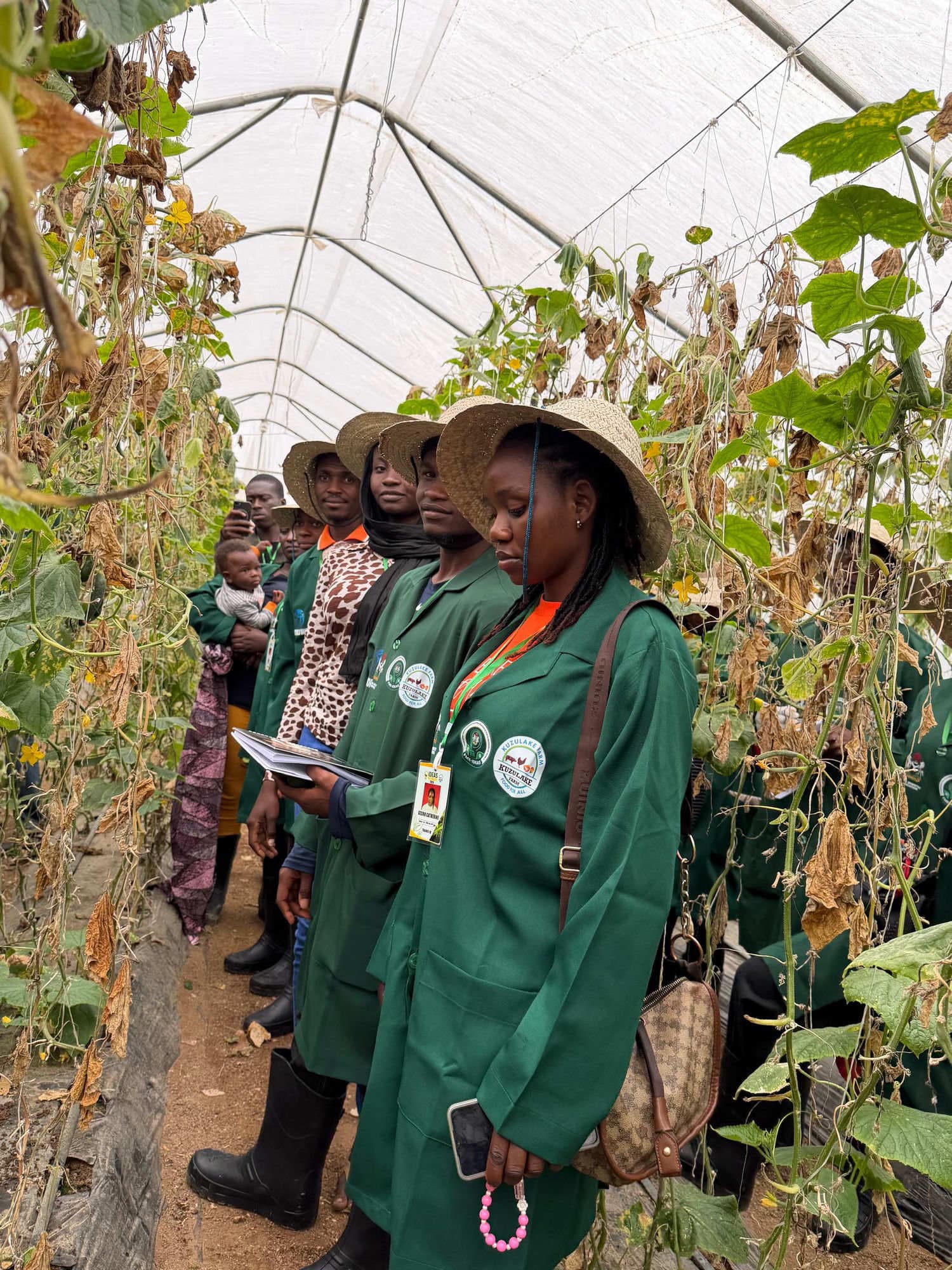5 Benefits of Greenhouse Farming for Smallholder Farmers