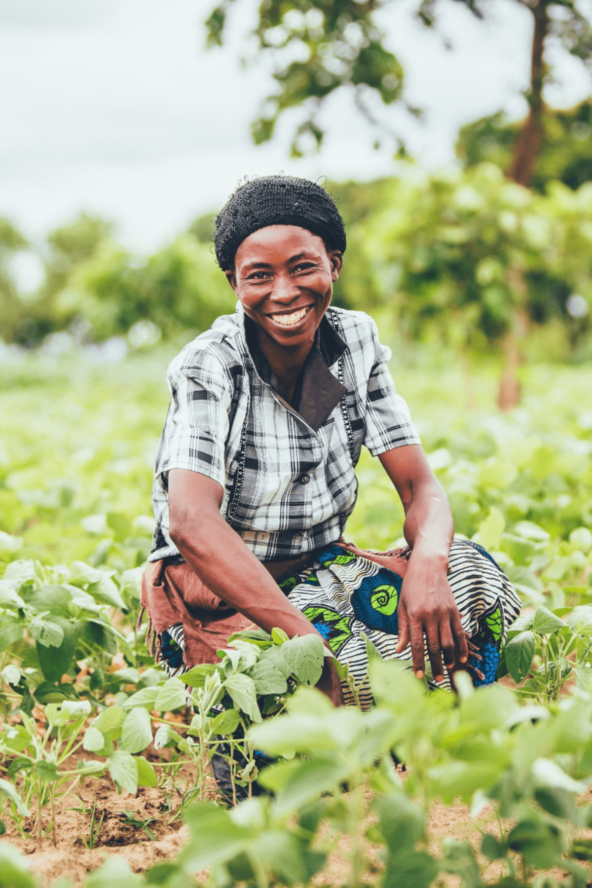 How Kuzulake Farms Partners with Nigeria's Federal Ministry of Education