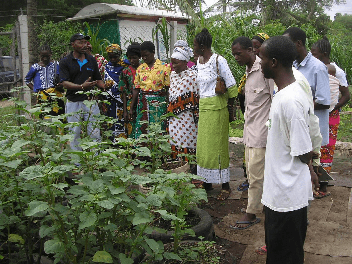Who Should Enroll in Agricultural Training? A Guide for Youth and Women in Plateau State