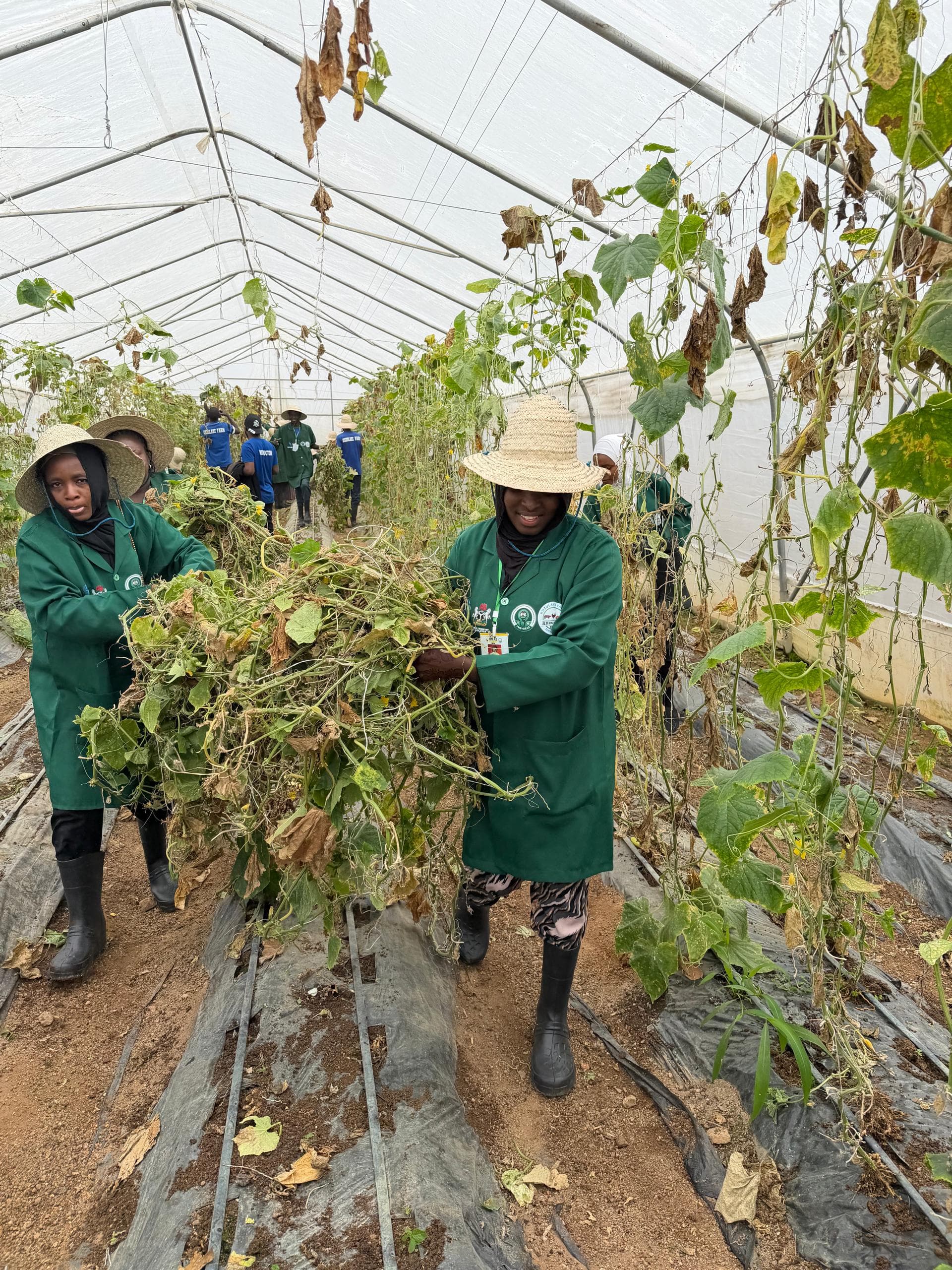 Crop Processing
