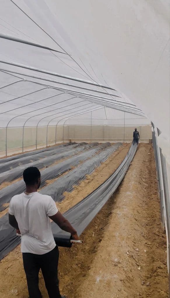 Protected Plant Cultivation Technology (PPCT): The Future of Farming in Plateau State