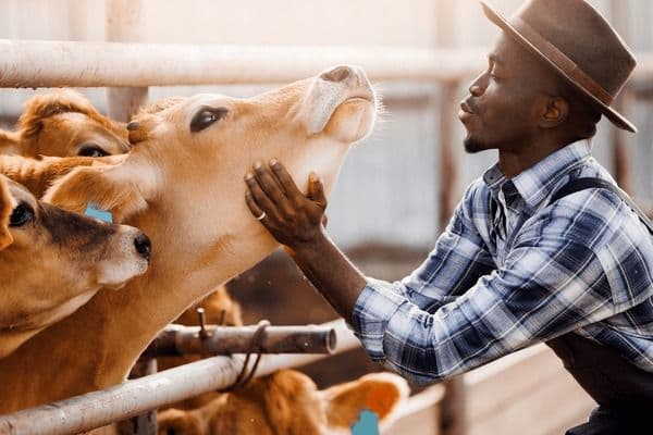 The Role of NGOs in Scaling Agricultural Training Across Plateau State