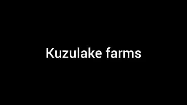 Women for Women International and Kuzulake Farms: Empowering 150+ Women Through Smart Farming
